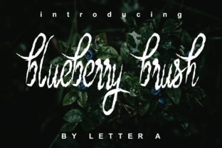 Blueberry Brush: The Typeface That Elevates Your Campaign Story
