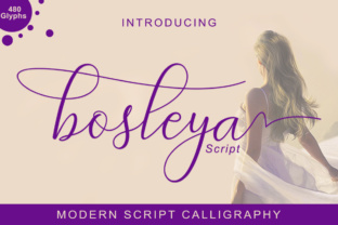 Bosleya: The Premium Script Typeface for Polished Brand Identity