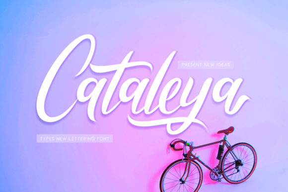 Cataleya: The Modern Script Typeface for Authentic Branding