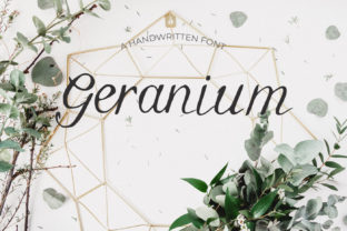 Geranium: The Elegant Script Typeface for Modern Web Design