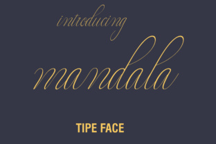 Mandala: The Elegant Script Typeface for Modern Editorial Design