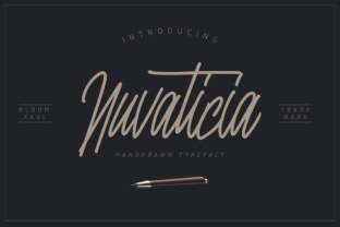 Nuvanticia: The Script Font That Stops Scrolling