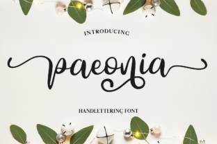 Paeonia Font Review: A Fresh Script for Elegant Branding