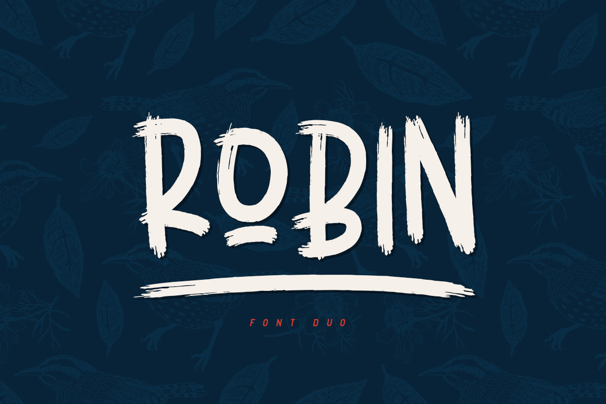 Robin: A Designer's Honest Review for Real-World Branding