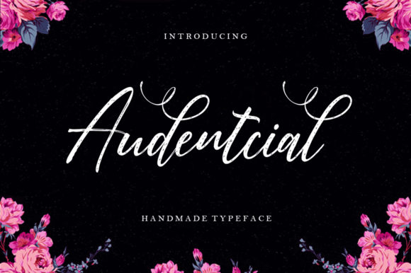 Why Audentcial Is the Secret Weapon for Campaign Clarity