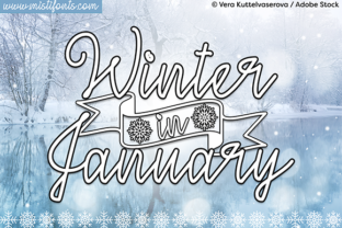 Winter in January: A Designer's Real-World Review